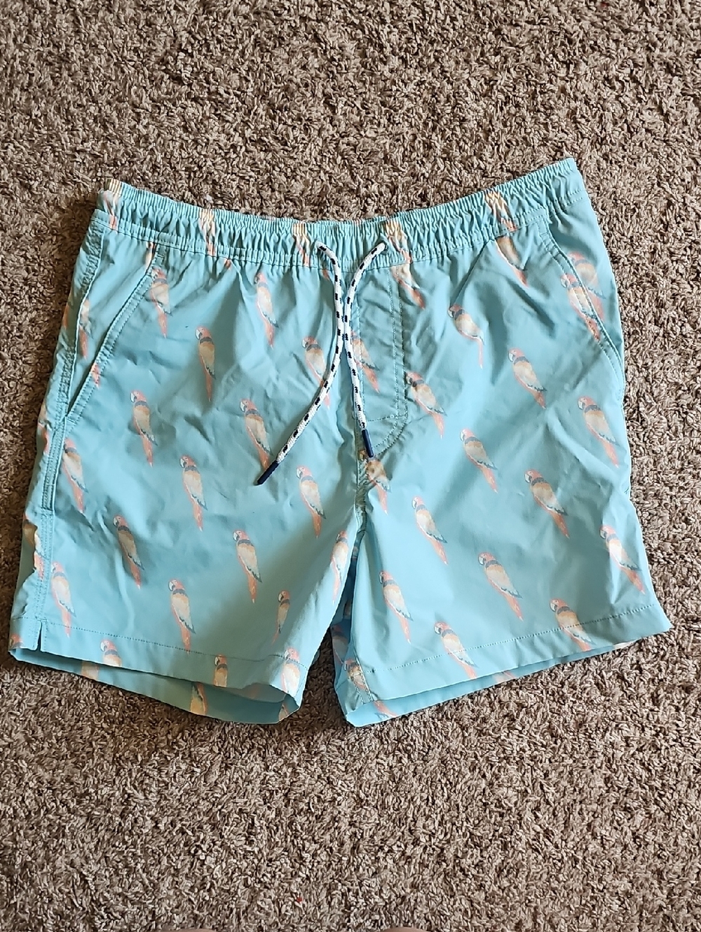 Men's Light Aqua Parrot Print Swim Trunks